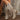 0035882f0dc445c78bba09ac757afea9-Max-Origin