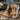 00e7b378-60bd-49e9-9eb2-30c636f3df41-Max-Origin