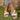 011c2cb6468146f7852fd0bcd65fe775-Max-Origin