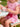 013a5d23-607a-469b-ae6b-fc44206c3f88-Max-Origin