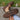 01561da5b1e7404db1cf8793a832c425-Max-Origin