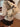 015e2240-25a1-44e1-98e9-61b88c6d619c-Max-Origin