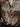 020c4d3a-d94c-4ae0-9249-aa8f41851eae-Max-Origin