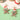 022798b3-12b5-42a0-a2c1-69ab52cf56d7-Max-Origin