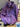 02559f3a5b4147b4a17d842332f52013-Max-Origin