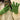 038cda57-84b0-49eb-818a-5c6303cbff3f-Max-Origin