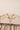 03ad4212-afa7-4f4d-be79-5f3de7eeecfd-Max-Origin