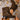 03bb824f3e6d449e826a87de8f6133b5-Max-Origin
