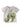 03cacb95a64b4fe69faf36775eb6501f-Max-Origin