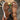 05810d1a56034fdeb83e92051aba296f-Max-Origin