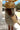 05b2aadd-74c4-48dd-b4ce-5cebf799a03b-Max