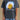 05d9d68f-345b-42d2-89d2-3fe8b7b7ff11-Max-Origin