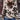 068e7e98-00bb-444c-8cb5-c7195ffb53c0-Max
