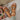 06924d4a-8458-42e5-928f-bd0e536bfb6e-Max-Origin
