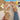 072fe83c25a84486b9bdd4b214d5f954-Max-Origin