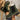 083dedc1f7c648c2ab7929c822ed1f11-Max-Origin