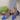 08698127198a4fec8f0e9b8647ce318e-Max-Origin