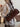 0a8228c4-c4d6-4802-b7c7-3e5ecab1e9f1-Max-Origin