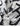 0a99b64f-ee5f-4dab-8631-8546553e2b72-Max-Origin