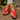 0b3bea3e-a4b9-429d-bb1d-6a63edc081fe-Max-Origin