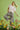 0b909b62-67b1-48e0-bb2b-68dd08538f27-Max-Origin