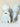 0baf16127a7f487ba7342972d29fd465-Max-Origin