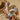 0d99626fa46b493d806dc4985d86883c-Max-Origin