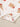 0e04af2d-1a1c-4412-8368-19f97b7fc2ed-Max-Origin