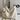 0ef9dbe9-5e17-46de-911d-7c1a5ece1c32-Max