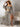 0fc67024bab34cf5ba441255fb794459-Max-Origin