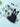 1037bc2f466c4cb4a6dc85ba8b30a7d2-Max