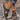 1275fce7-9f94-4b50-9260-3c9a007ef090-Max-Origin