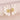 12d23064-0119-418c-ab69-f61d6df51224-Max-Origin