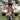 1458acc1-bd5a-4db7-85ad-1113e49d7473-Max-Origin