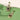 14ac222d-c2ec-4af3-9833-53e8394b0d20-Max-Origin