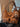 14fa7a2f100a4149bed9d635e2595723-Max-Origin