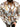 151ea563-96d6-413b-a1a4-4d2426000ceb-Max-Origin