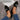 15fb39eff67844d7bcb5e58b8b39d22b-Max-Origin