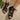 163d5d4577b644348d73838e95cfc9fd-Max-Origin