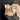 16c01244-c25a-4c93-89fe-d3f6d2e75f39-Max