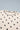 16dacd74-ac64-49b4-ac6d-7ff55e7c6909-Max-Origin