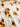17903bd30e9647c09e1b081a000cf5be-Max