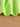 181397e57a2541a7a5bbd9efed23d747-Max