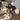 1825dcf0-573f-4138-a494-f9dd649c67ef-Max-Origin