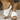 19c15a23-98a9-482b-98b8-db4c462d85ac-Max