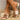 19faace1-0039-4196-9f7e-6100b55e471f-Max-Origin
