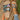 1b0eb2df-6049-4bd2-afd7-da36421caad1-Max-Origin
