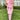 1b4c1c21-7e4b-439a-9d8e-f698a0e1bc1c-Max-Origin