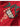 1cb53c8b-a834-4260-8eef-1e73a7bfd95f-Max-Origin