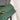 1d2f1b80-3da3-49d5-8359-a6a086feca26-Max-Origin